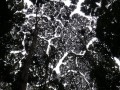 Tn 0942 DSC00117